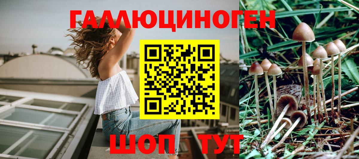 Псилоцибиновые грибы Cubensis  Вход с VPN  Камышлов  Псилоцибиновые грибы Magic Shrooms 