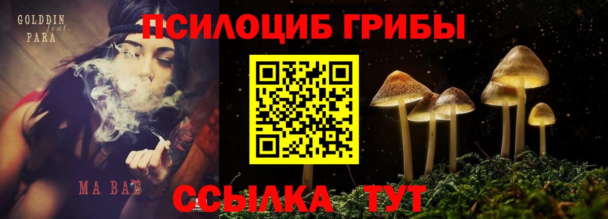 Героин Камышлов