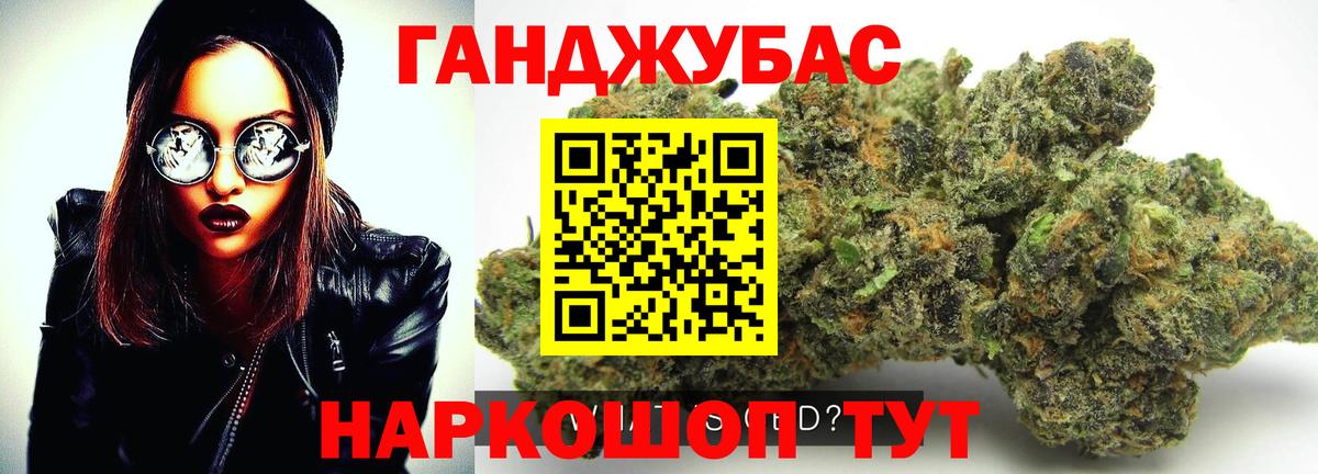 Бошки марихуана конопля  Вход с VPN  Конопля сатива  Камышлов  Конопля индика  Конопля MAZAR 