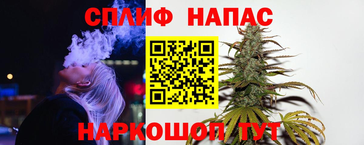 Конопля сатива Камышлов